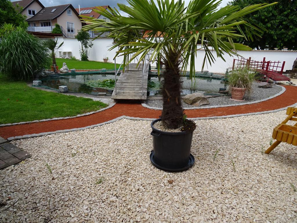 Apartment Euro As Kappel-Grafenhausen Esterno foto